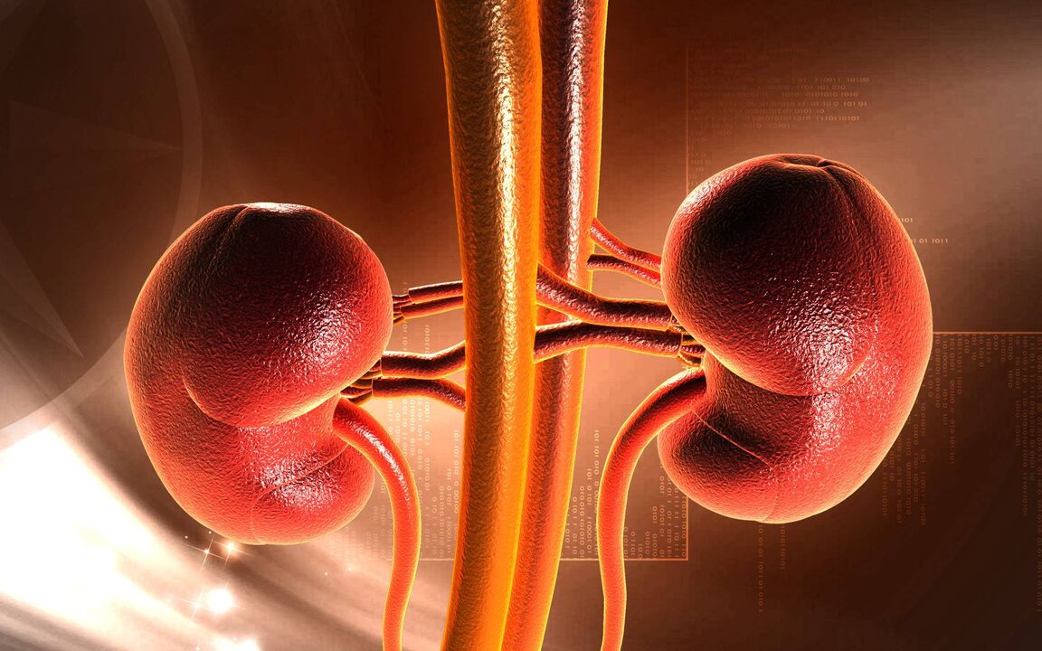 Increased blood sugar can cause renal failure